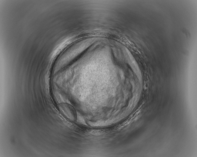 X0000112920341200909141317