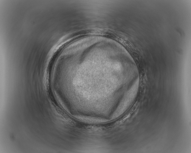 X0000112920343200909141317