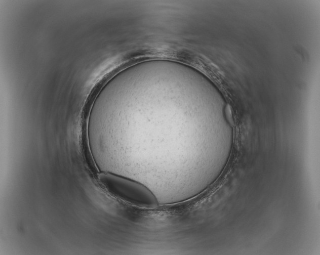 X0000112920344200909141317
