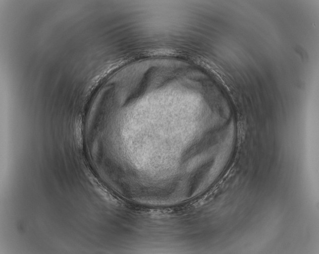 X0000112920345200909141317