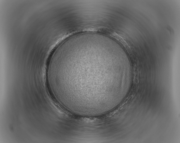 X0000112920346200909141317