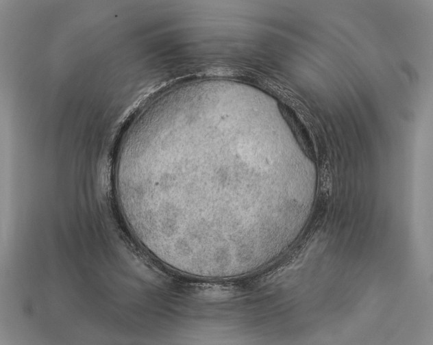 X0000112920347200909141317