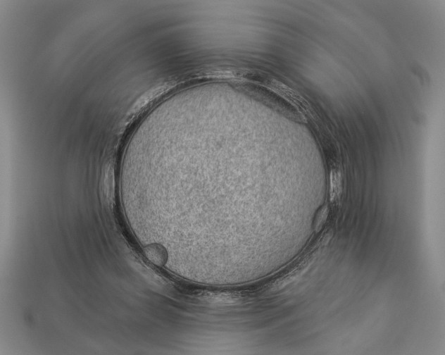 X0000112920349200909141317