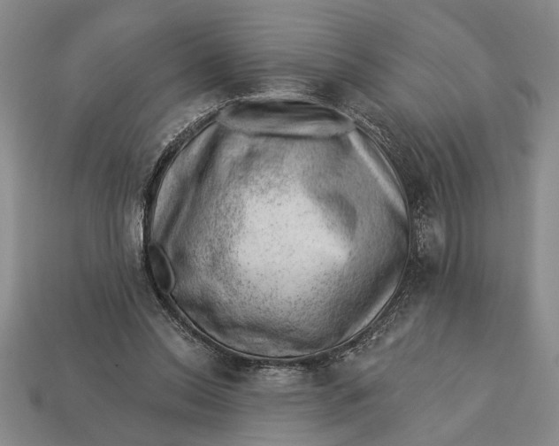 X0000112920350200909141317