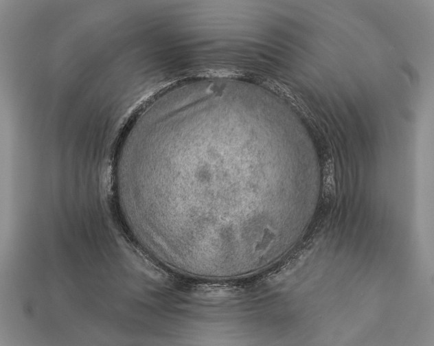 X0000112920351200909141317