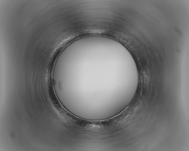 X0000112920352200909141317