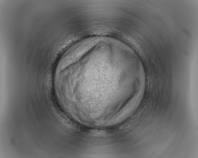 X0000112920354200909141317
