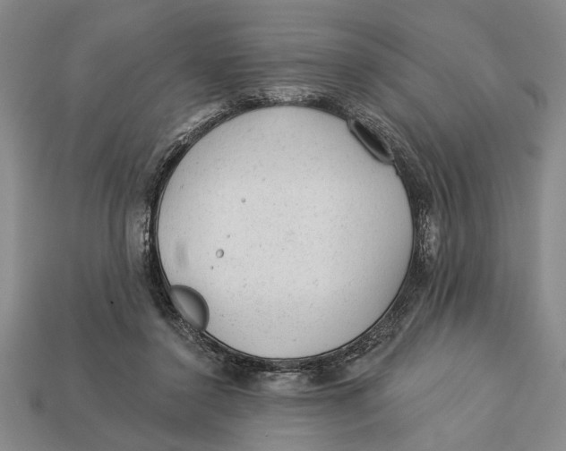 X0000112920356200909141317