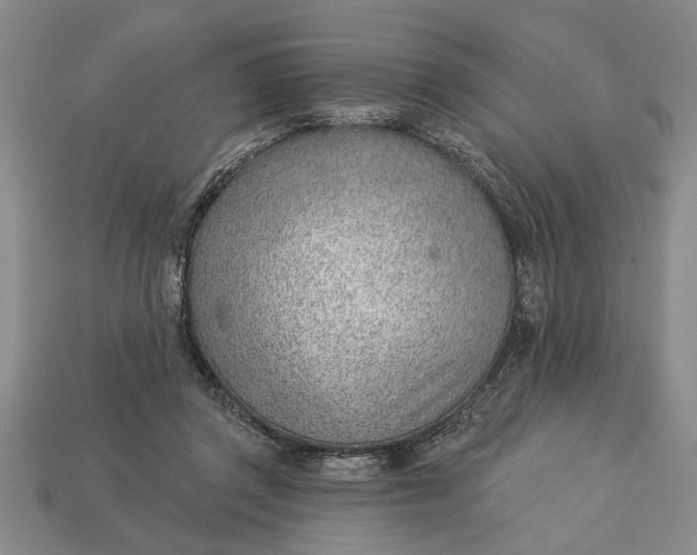 X0000112920357200909141317