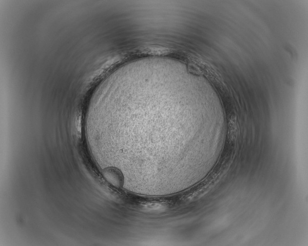 X0000112920358200909141317