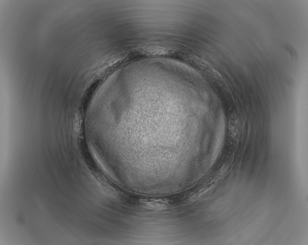 X0000112920359200909141317