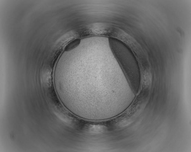 X0000112920360200909141317