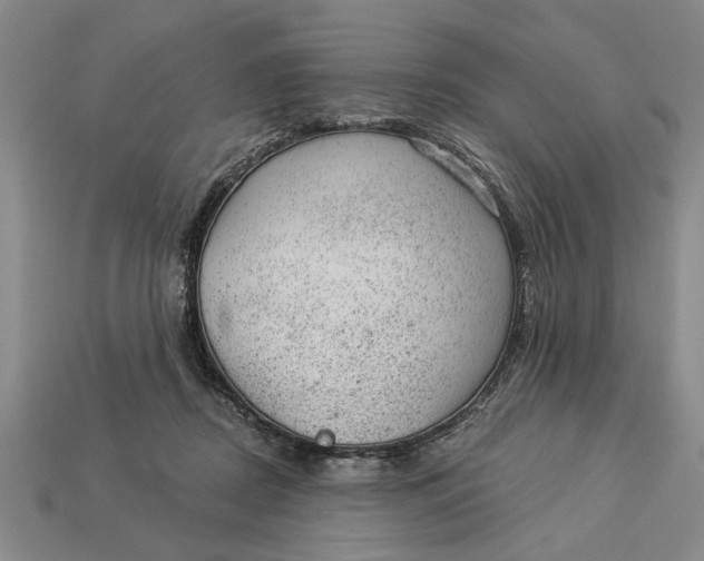 X0000112920362200909141317