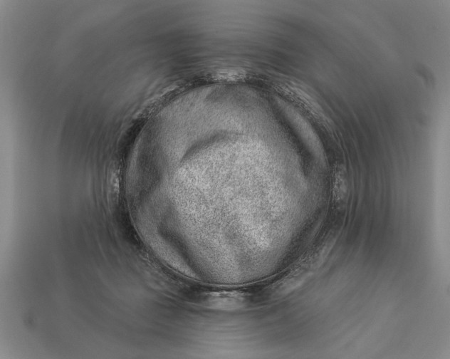 X0000112920363200909141317