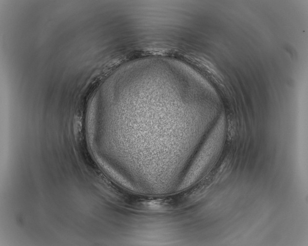 X0000112920365200909141317