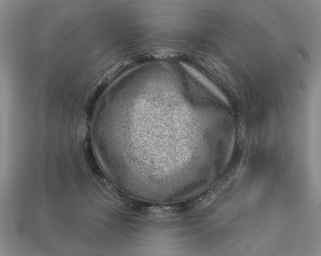 X0000112920367200909141317