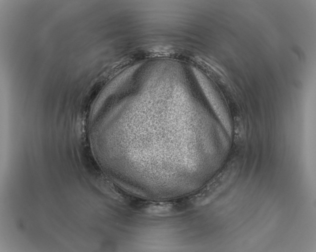 X0000112920369200909141317