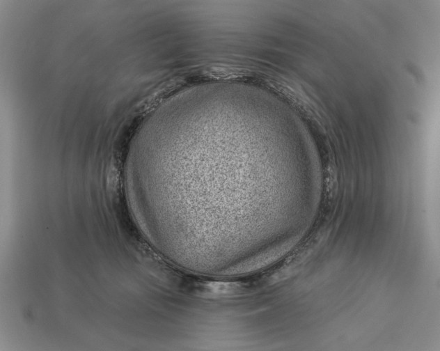 X0000112920371200909141317