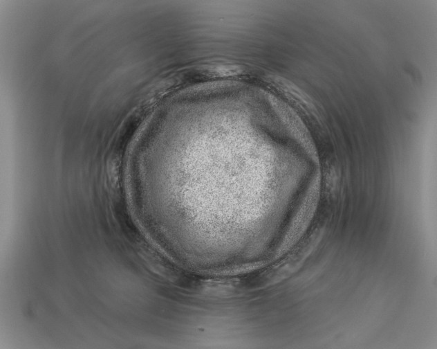 X0000112920373200909141317