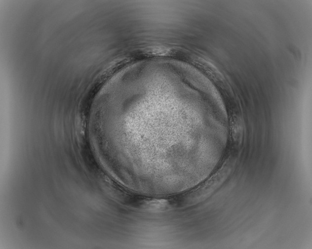 X0000112920374200909141317