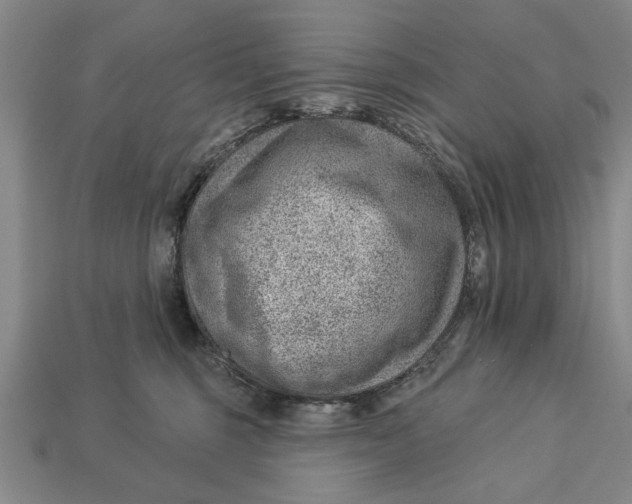 X0000112920375200909141317