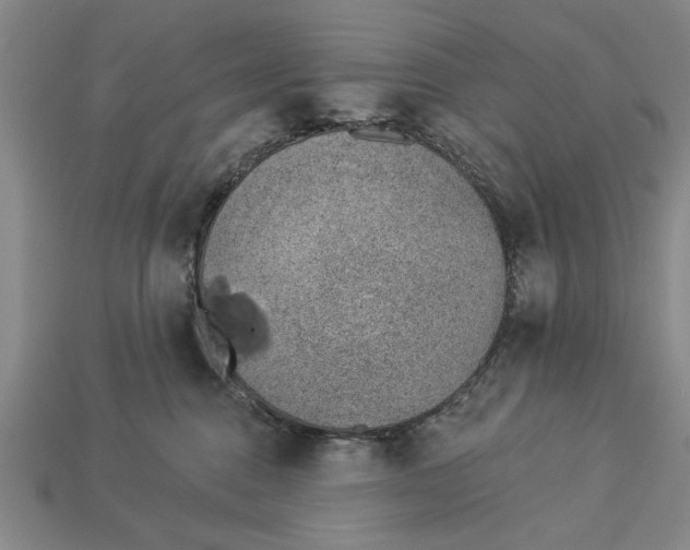 X0000112920376200909141317