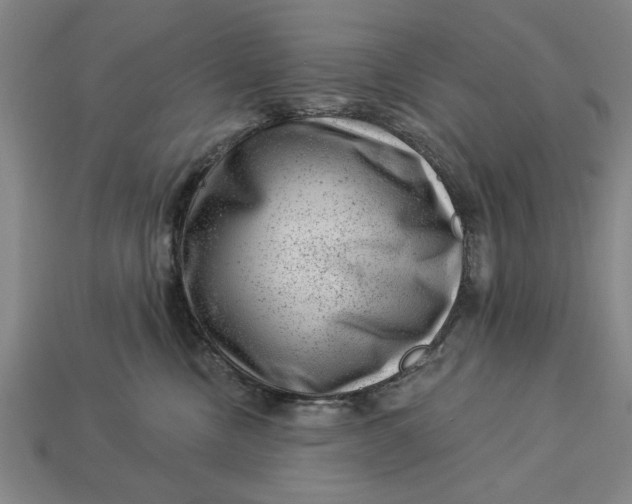 X0000112920378200909141317