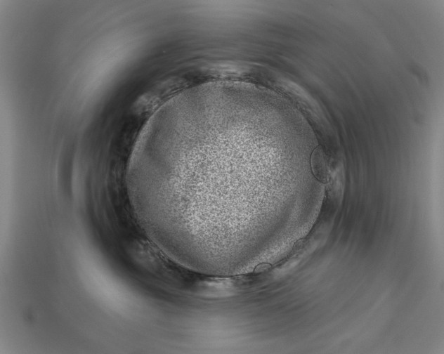 X0000112920381200909141317