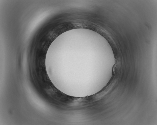 X0000112920382200909141317