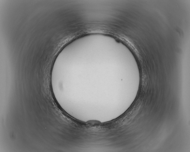 X0000112920385200909141317