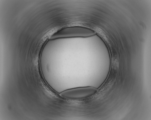X0000112920389200909141317