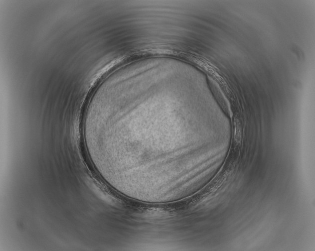 X0000112920390200909141317