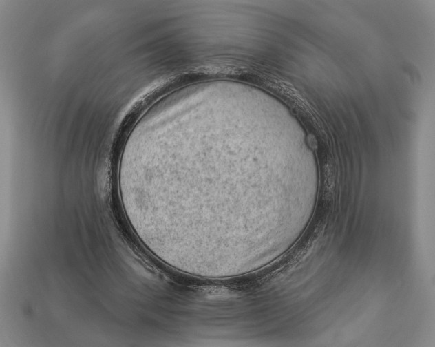 X0000112920392200909141317