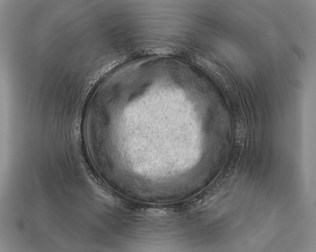 X0000112920394200909141317