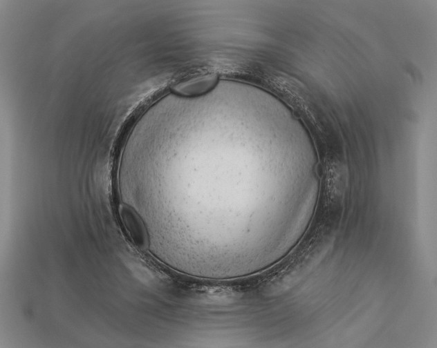 X0000112920395200909141317
