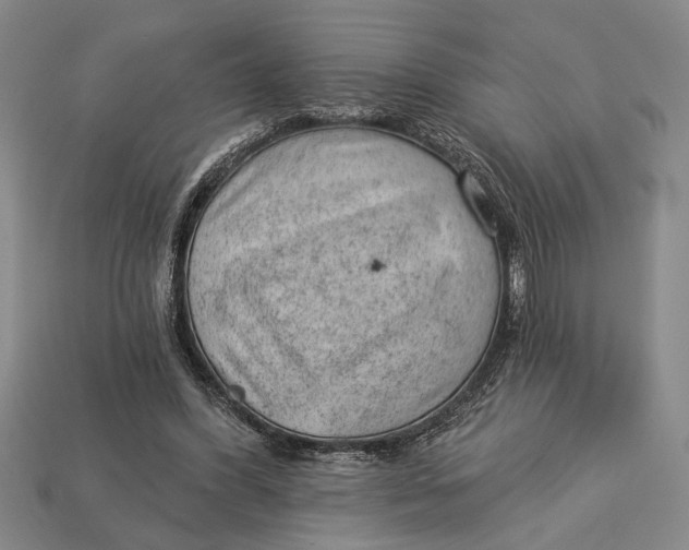 X0000112920396200909141317