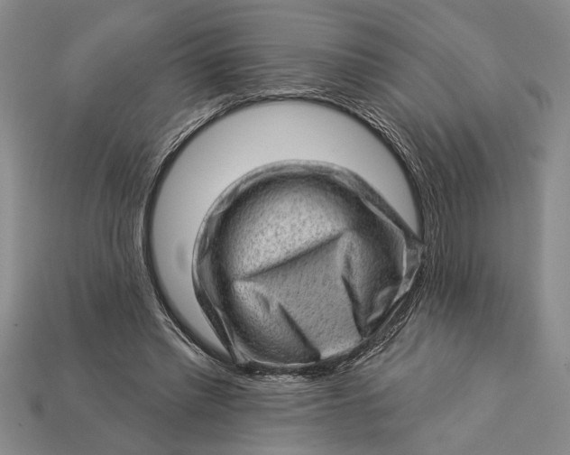 X0000112920397200909141317