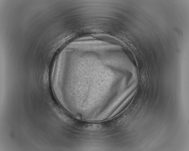 X0000112920398200909141317
