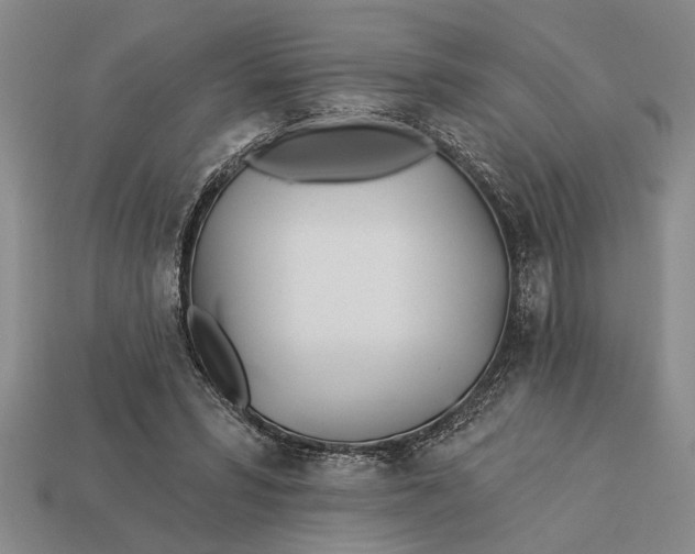 X0000112920399200909141317