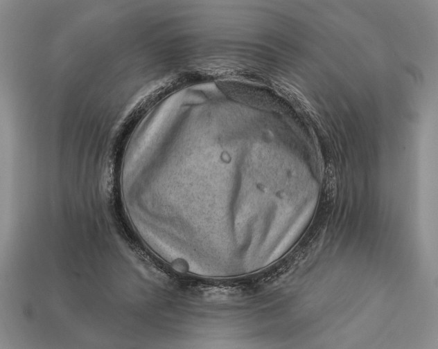 X0000112920400200909141317