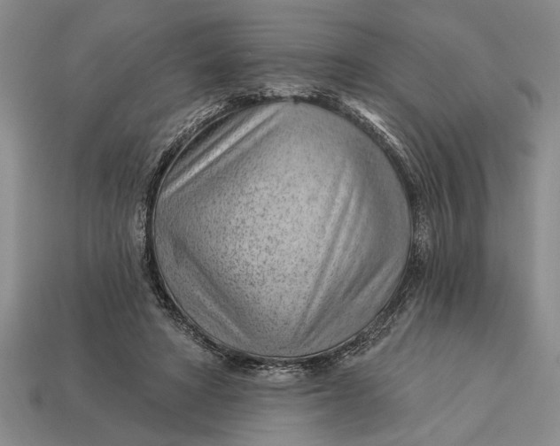 X0000112920402200909141317