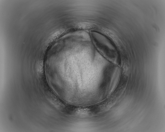 X0000112920403200909141317