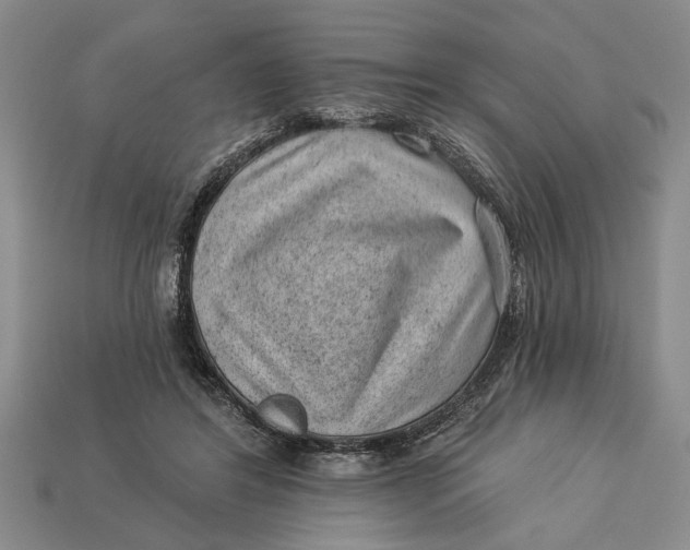 X0000112920404200909141317