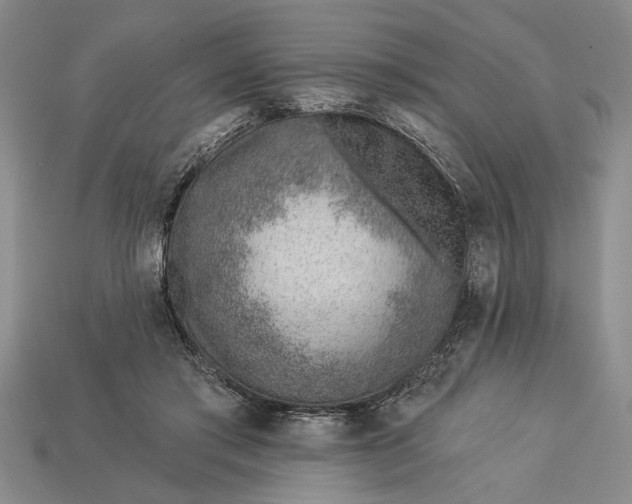 X0000112920405200909141317