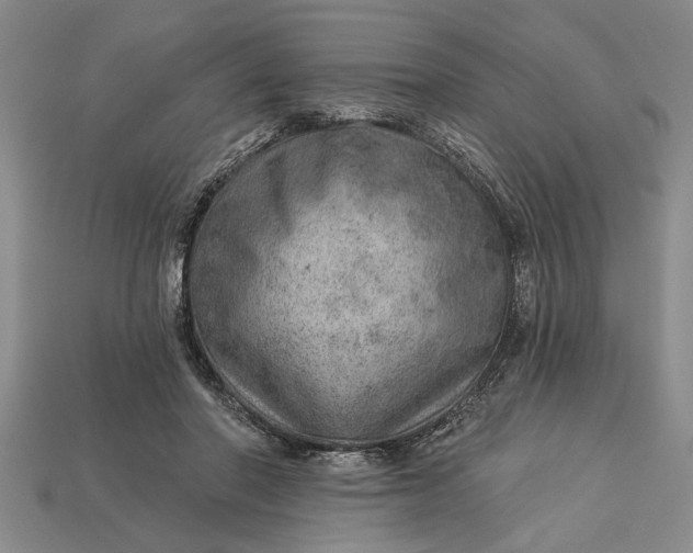 X0000112920406200909141317