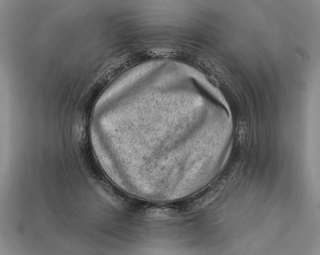 X0000112920408200909141317