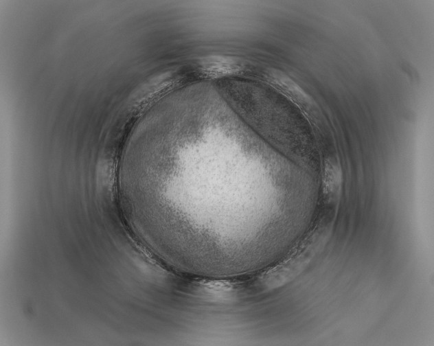 X0000112920409200909141317