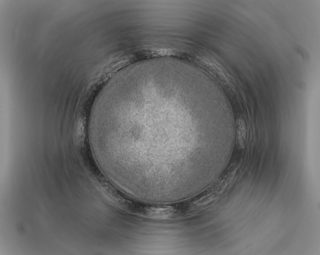 X0000112920410200909141317