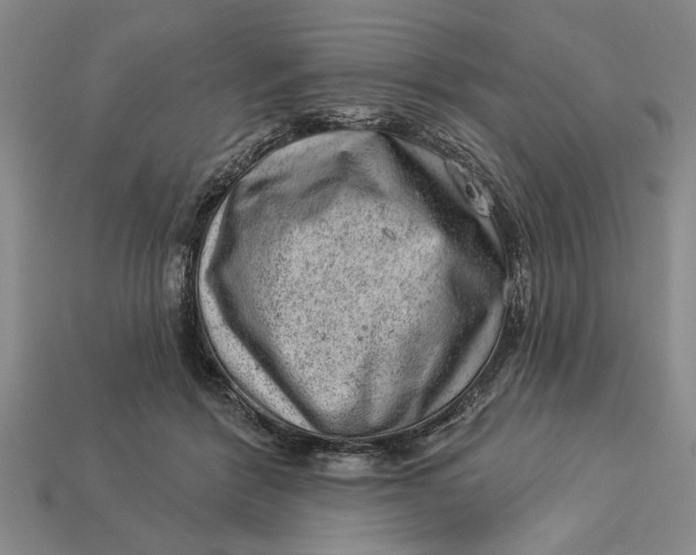 X0000112920412200909141317