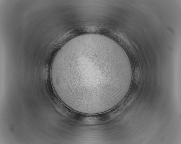 X0000112920413200909141317